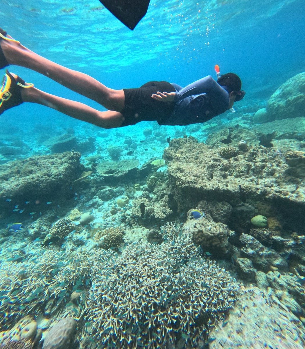 A snorkeler diving down over a coral garden in clear water