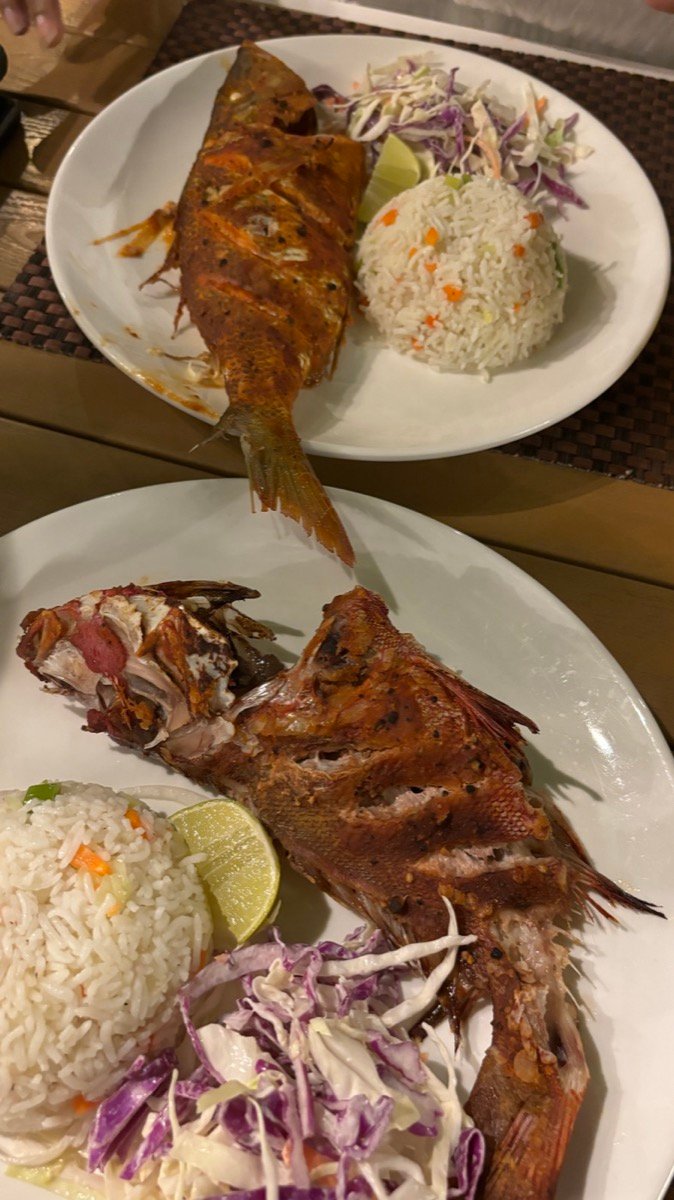 Two plates of grilled whole fish with rice and slaw after the fishing trip
