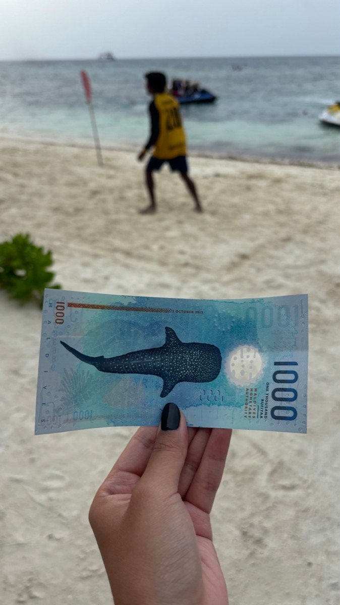 A 1000 Maldivian Rufiyaa banknote with a whale shark on it, held up on a Maafushi beach