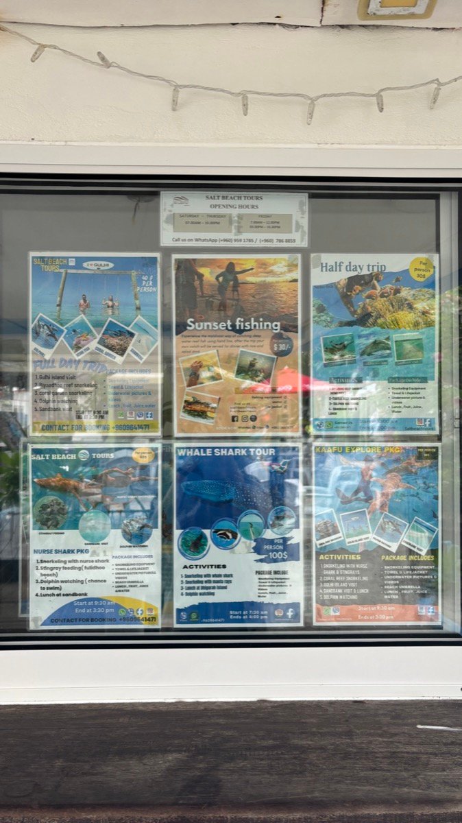 Tour flyers in the Salt Beach Tours window showing sunset fishing, whale shark and day trip options