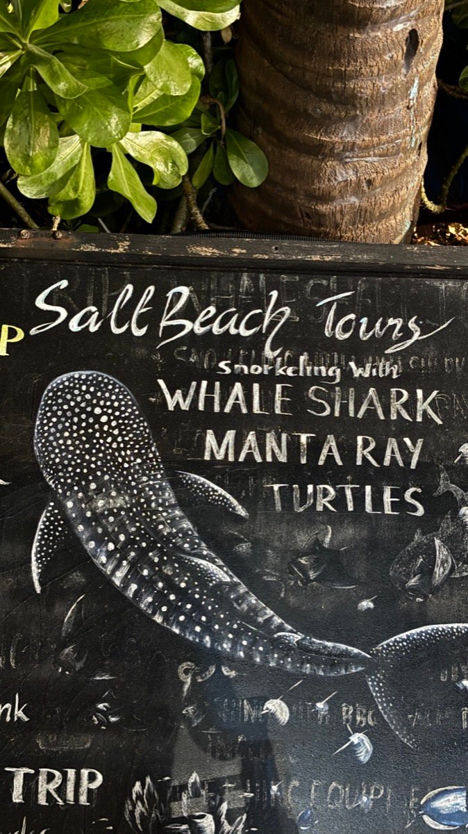 A chalkboard sign for Salt Beach Tours advertising whale shark, manta ray and turtle snorkelling