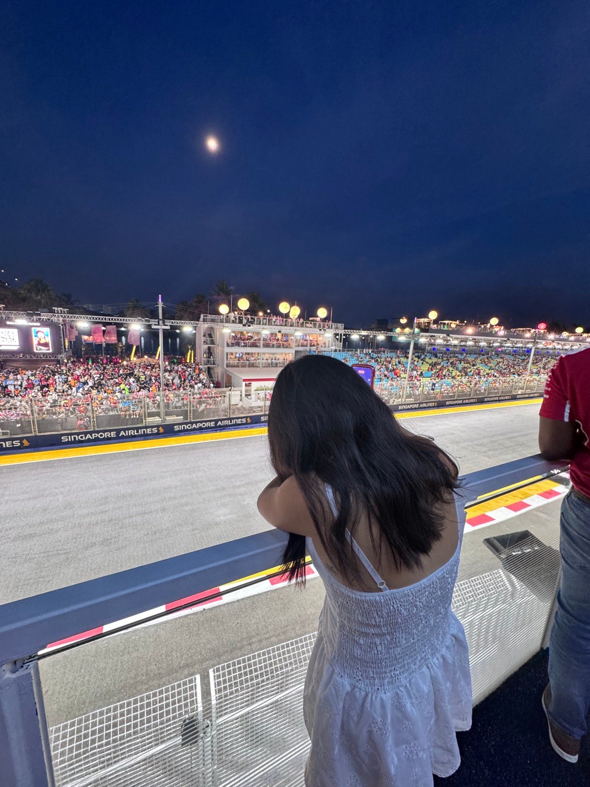 The grid at the start of the Singapore Grand Prix under the lights